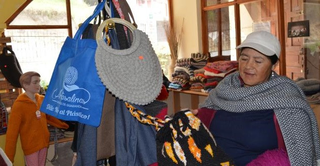 Programa de Formación Técnica