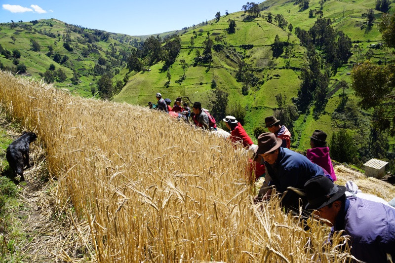 Ritual del Jahuay en Simiatug